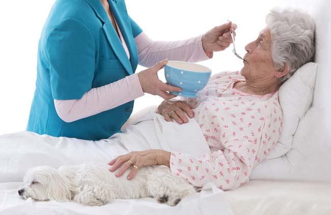 CHHAYA CHARITABLE TRUST (R) - Latest update - Bedridden Patient Care Services in Bangalore